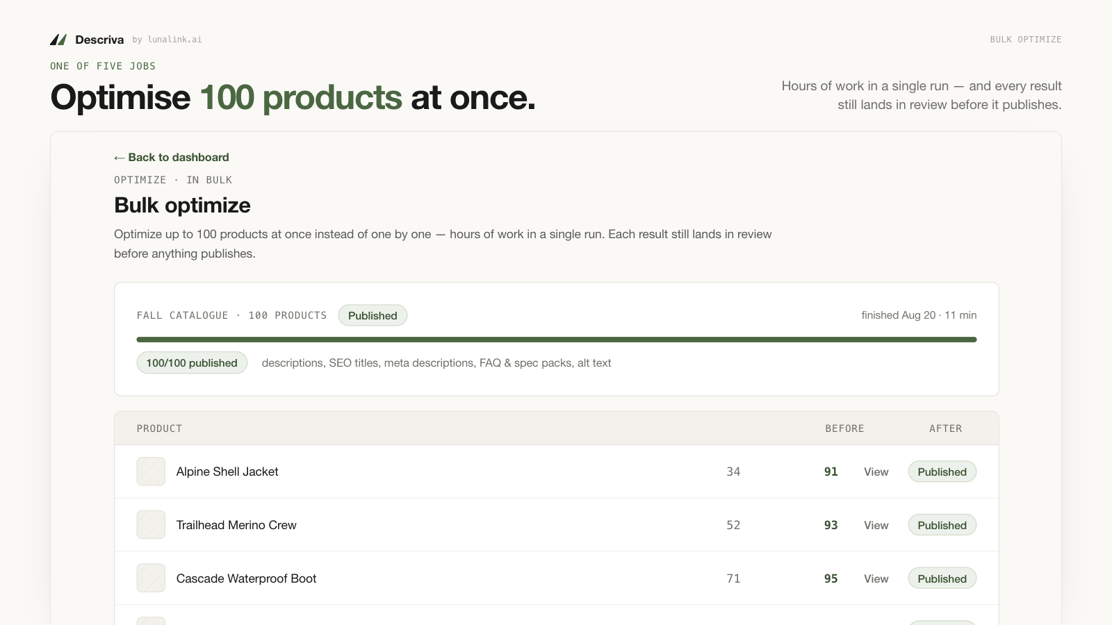 Bulk: 100 products optimized and published in one run